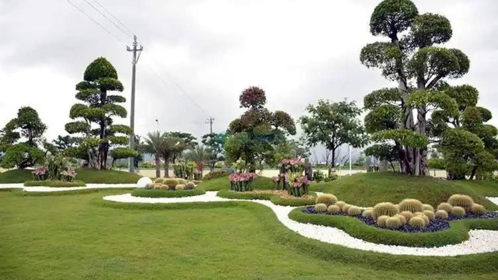 必一运动新闻资讯栏目配图
